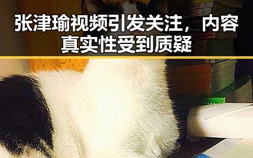 张津瑜视频引发关注，内容真实性受到质疑